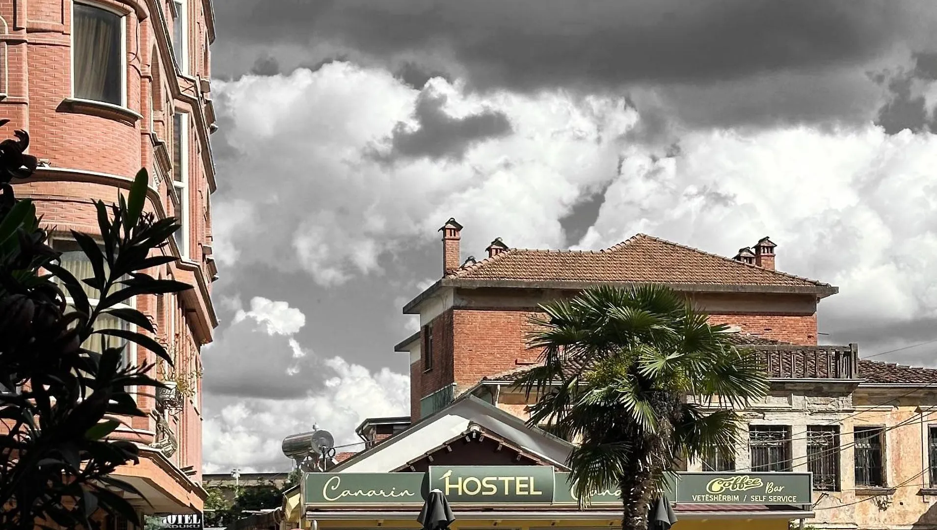 Canarin Hostel location